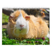 Calendrier 2016 des Cochons de Guinée doux (Protection)