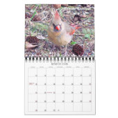Calendrier 2016 Des Oiseaux De Ma Fenêtre (Mar 2026)