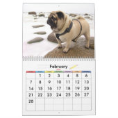 Calendrier 2016 d'Europug "les saisons avec Valli (Feb 2027)