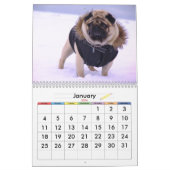 Calendrier 2016 d'Europug "les saisons avec Valli (Jan 2026)