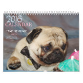 Calendrier 2016 d'Europug "les saisons avec Valli (Protection)