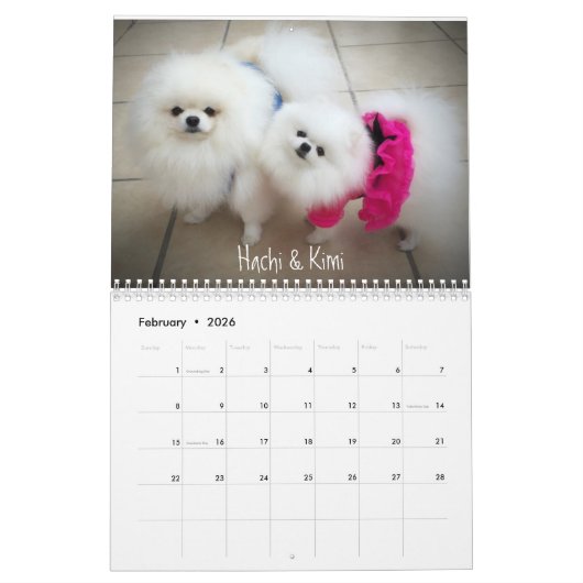 calendrier 2016 d'iLMP (Feb 2026)