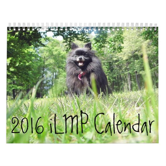 calendrier 2016 d'iLMP (Protection)