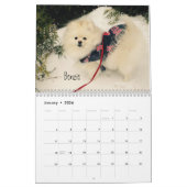 calendrier 2016 d'iLMP (Jan 2026)