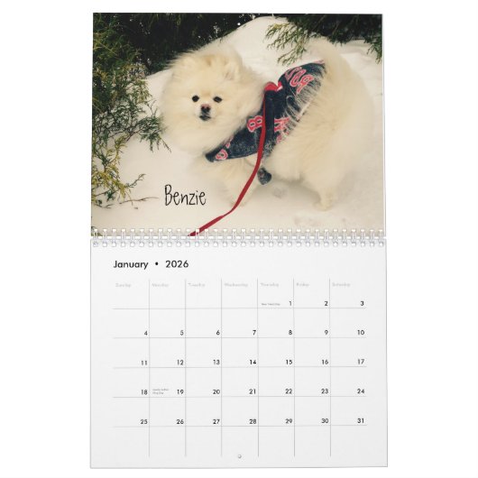 calendrier 2016 d'iLMP (Jan 2026)