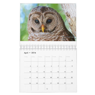 Calendrier 2016 d'OwlWatch