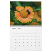 calendrier 2016, papillons et fleurs (Jan 2027)