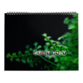 Calendrier 2016 surdimensionné de poisson rouge (Protection)