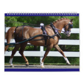 Calendrier 2017 avec des images de colline de noix (Protection)