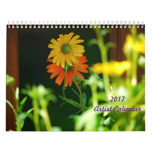 Calendrier 2017 d'artiste (Protection)