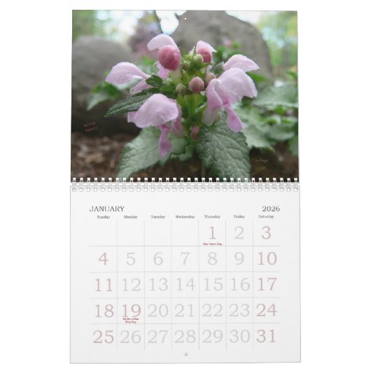 Calendrier 2017 d'artiste (Jan 2026)