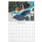 Calendrier 2017 de beagle (Feb 2027)