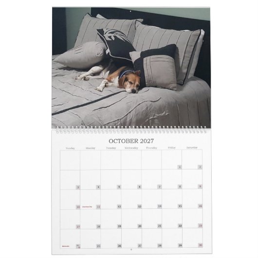 Calendrier 2017 de beagle (Oct 2027)