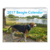 Calendrier 2017 de beagle (Protection)