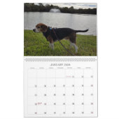 Calendrier 2017 de beagle (Jan 2026)