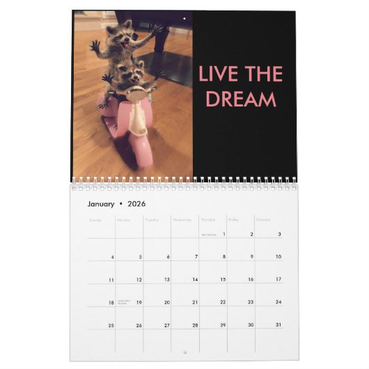 Calendrier 2017 de Bloggess (Jan 2026)