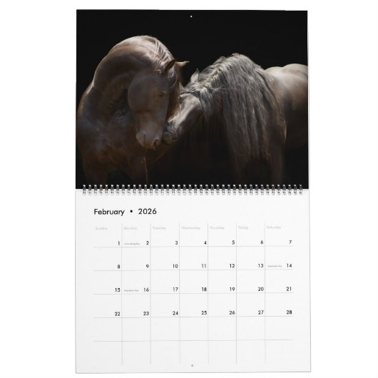 Calendrier 2017 de Boyz de forêt (Feb 2026)