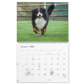 Calendrier 2017 de chiens de montagne de Bernese (Jan 2026)