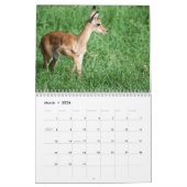 Calendrier 2017 de faune (Mar 2026)
