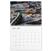 Calendrier 2017 de faune (Mar 2026)