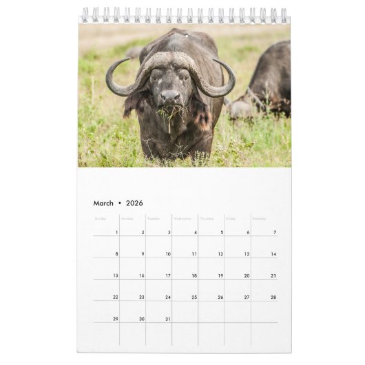 Calendrier 2017 de faune (Mar 2026)