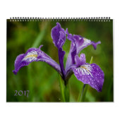 Calendrier 2017 de nature (Protection)