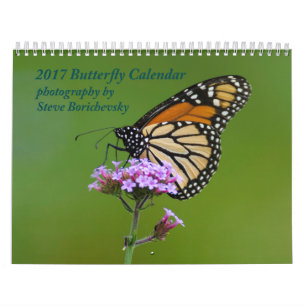 Calendrier 2017 de papillon