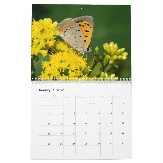 Calendrier 2017 de papillon (Jan 2026)