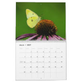 Calendrier 2017 de papillon (Mar 2027)