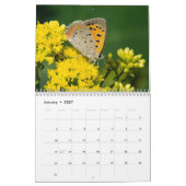 Calendrier 2017 de papillon (Jan 2027)