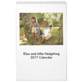 Calendrier 2017 de poupée de hérisson (Protection)