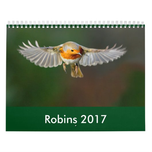 Calendrier 2017 de Robin (Protection)