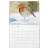 Calendrier 2017 de Robin (Jan 2027)