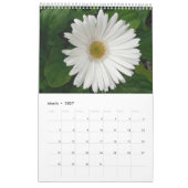 Calendrier 2017 - Fleurs Blanches Calendrier (Mar 2027)