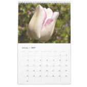 Calendrier 2017 - Fleurs Blanches Calendrier (Jan 2027)