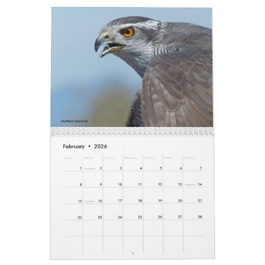 Calendrier 2017 - Oiseaux d'Amérique du Nord (Feb 2026)