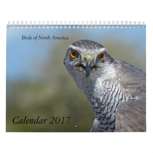 Calendrier 2017 - Oiseaux d'Amérique du Nord (Protection)