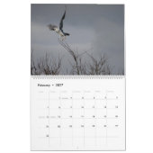 Calendrier 2017 oiseaux de l'Amérique du Nord (Feb 2027)