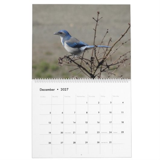 Calendrier 2017 oiseaux de l'Amérique du Nord (Dec 2027)