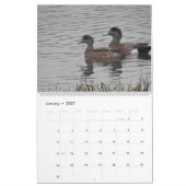 Calendrier 2017 oiseaux de l'Amérique du Nord (Jan 2027)