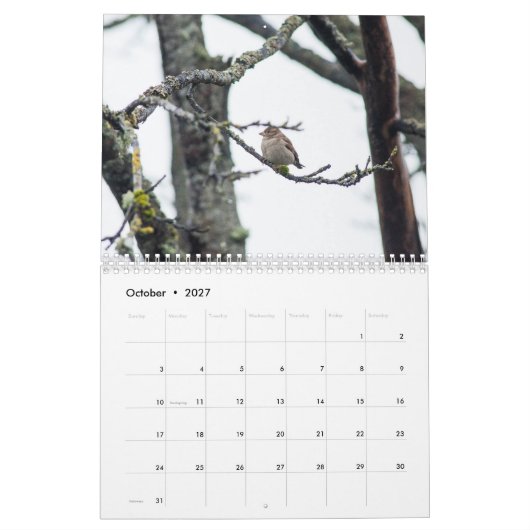 Calendrier 2017 par prélèvement de Barbara (Oct 2027)