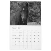 Calendrier 2017 par prélèvement de Barbara (Feb 2027)