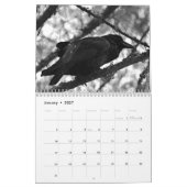 Calendrier 2017 par prélèvement de Barbara (Jan 2027)