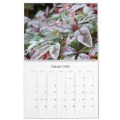 Calendrier 2017 : Photographies par Joan McQuaid (Jan 2026)