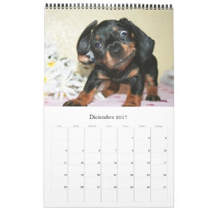 Calendrier 2017 Puppy Dachshunds