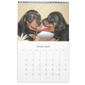 Calendrier 2017 Puppy Dachshunds (Feb 2026)