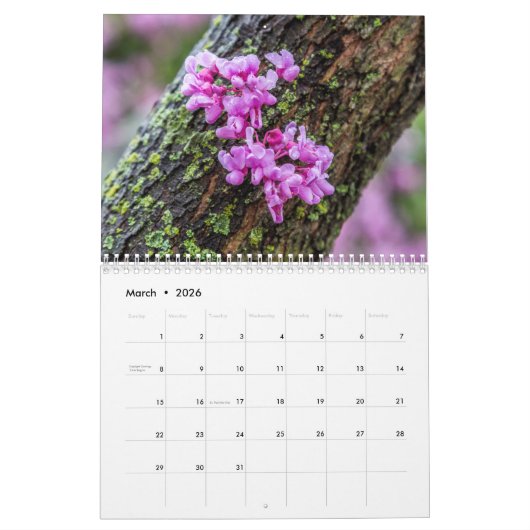 Calendrier 2018 (Mar 2026)