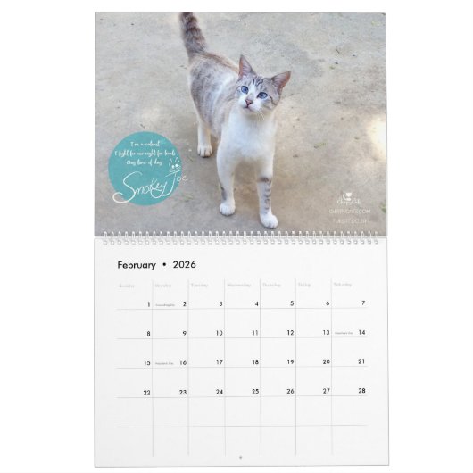 Calendrier 2018 de chat - chats gais (Feb 2026)