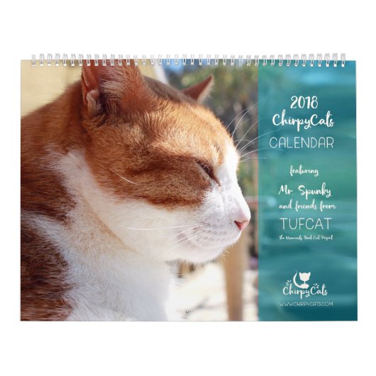 Calendrier 2018 de chat - chats gais (Protection)