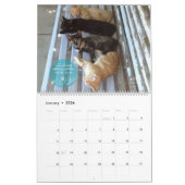 Calendrier 2018 de chat - chats gais (Jan 2026)
